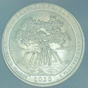 2020-P-Washington-Salt-River-Bay-